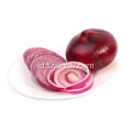 Fresh Good Qulality Red Onion